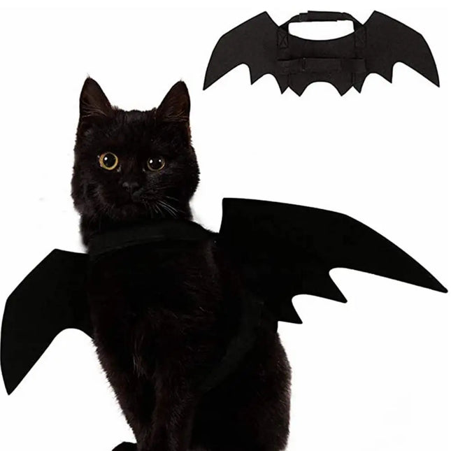 Bat Wings Pet Costume