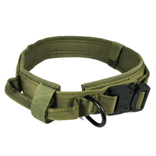 Premium Adjustable Nylon Dog Collar
