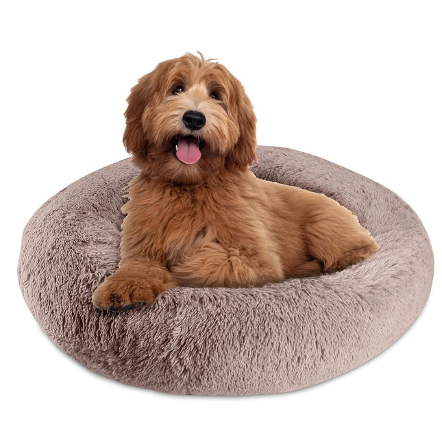 Golden-brown doodle dog resting in a plush taupe Arlee Memory Foam Donut Pet Bed