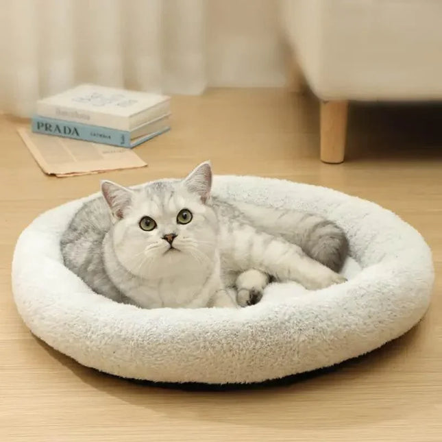 c8T3mU0XDTmttn0n - Nai Pet Store