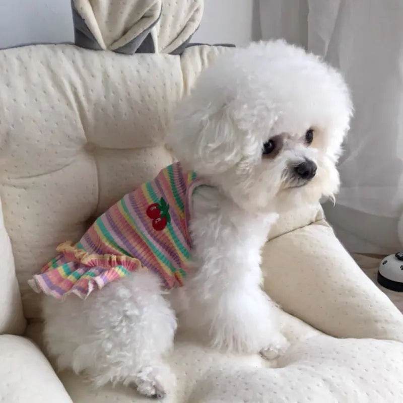 Thin Striped T-Shirt for Dogs - Pet Sling Outfit - Nai Pet Store