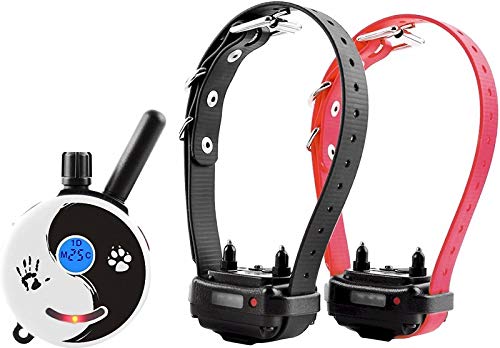 Mini Educator E-Collar Dog Training System | ET-302 ZEN | 2-Dog | 1/2 Mile Range