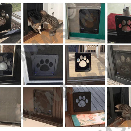 c99fa28445b98489913e3d89d442 - Nai Pet Store