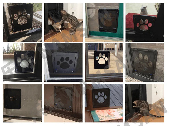 c99fa28445b98489913e3d89d442 - Nai Pet Store