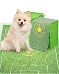 Fluffy Pomeranian on green soccer field pet mat with target design, ideal for dog training and play.