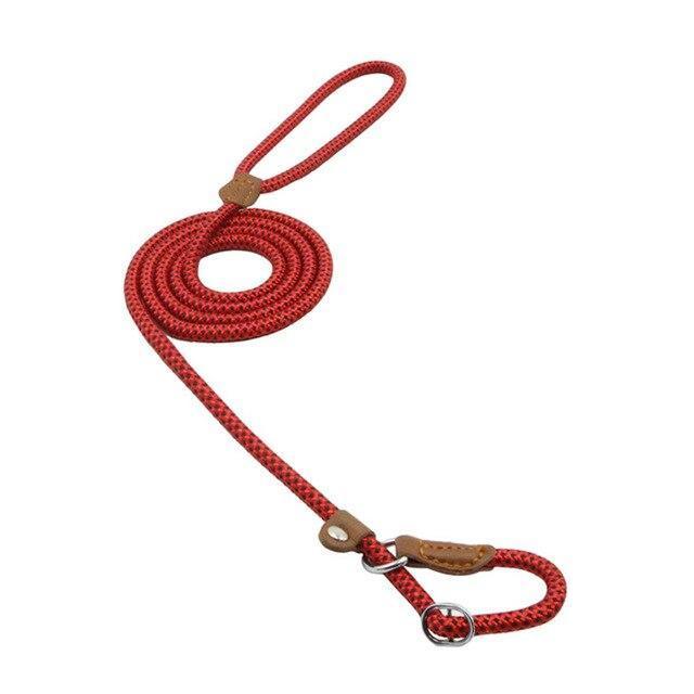 cb6a425f44cfa9caba1e5b0eb4f5 - Nai Pet Store