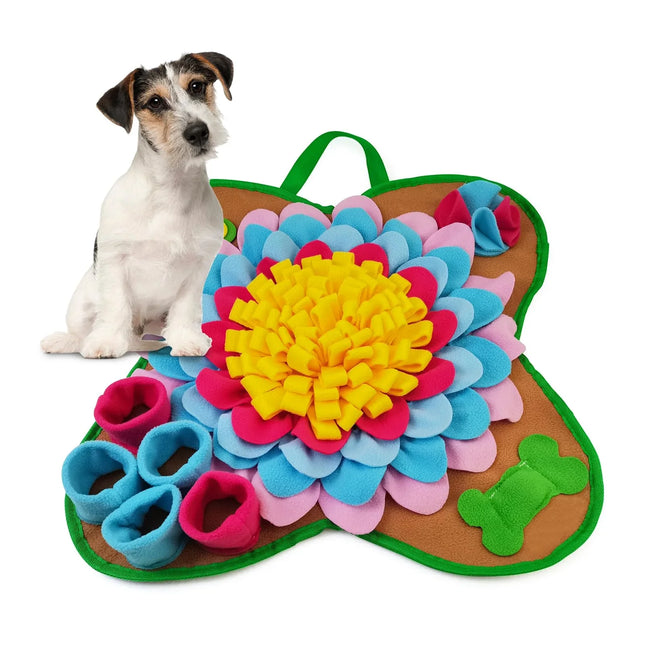 cbeb24de4bf7bed969043328ac44_73cfc56a-1b28-4081-9e81-999929aa67a1 - Nai Pet Store