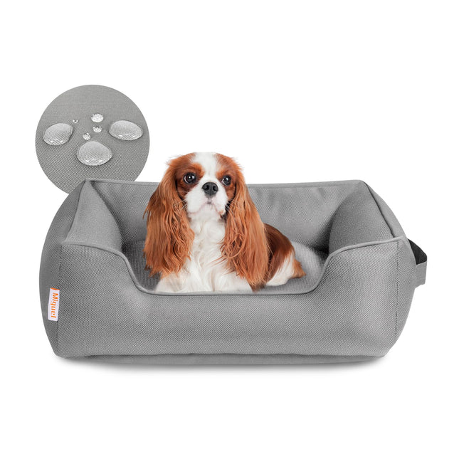 Cavalier King Charles Spaniel in gray waterproof dog bed with cozy design for small pets