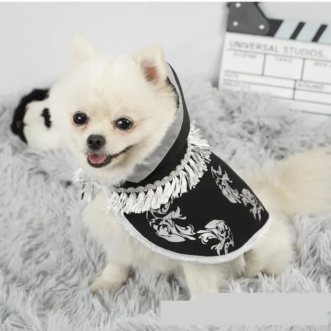Small white dog wearing a black Halloween cape with silver patterns and fringe from Nai Pet Store