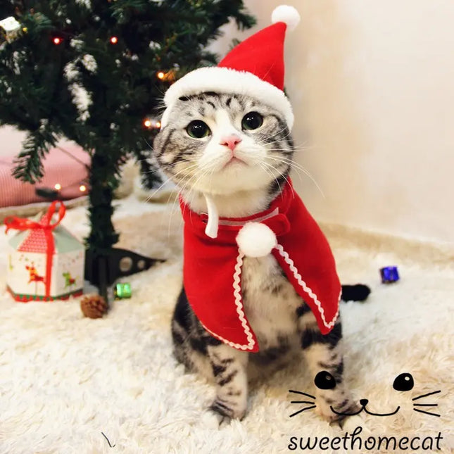 Christmas Pet Hats & Accessories