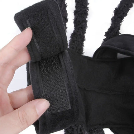Spider Pet Costume