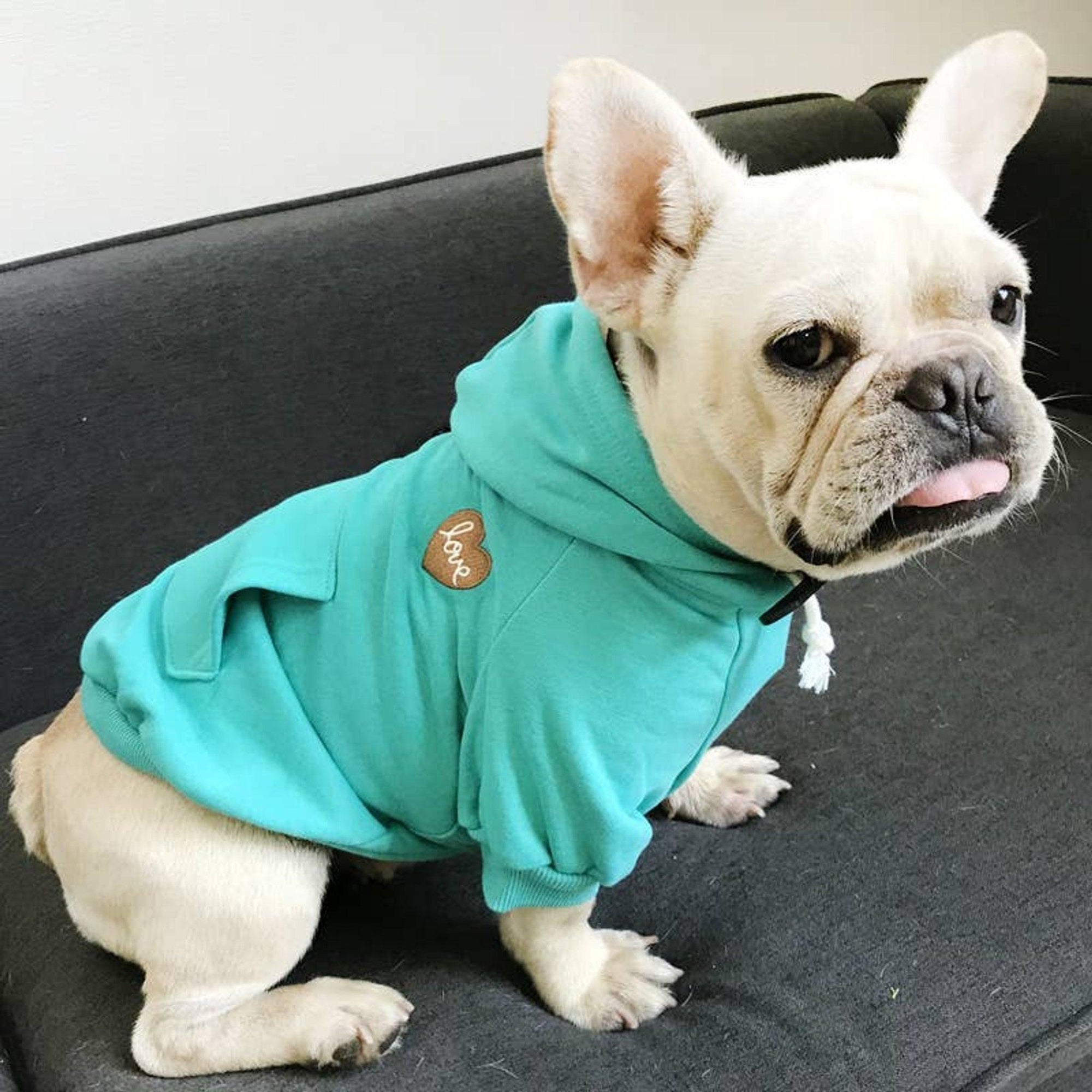 Cozy Matching Love Print Hoodie Set for Pet and Owner-1