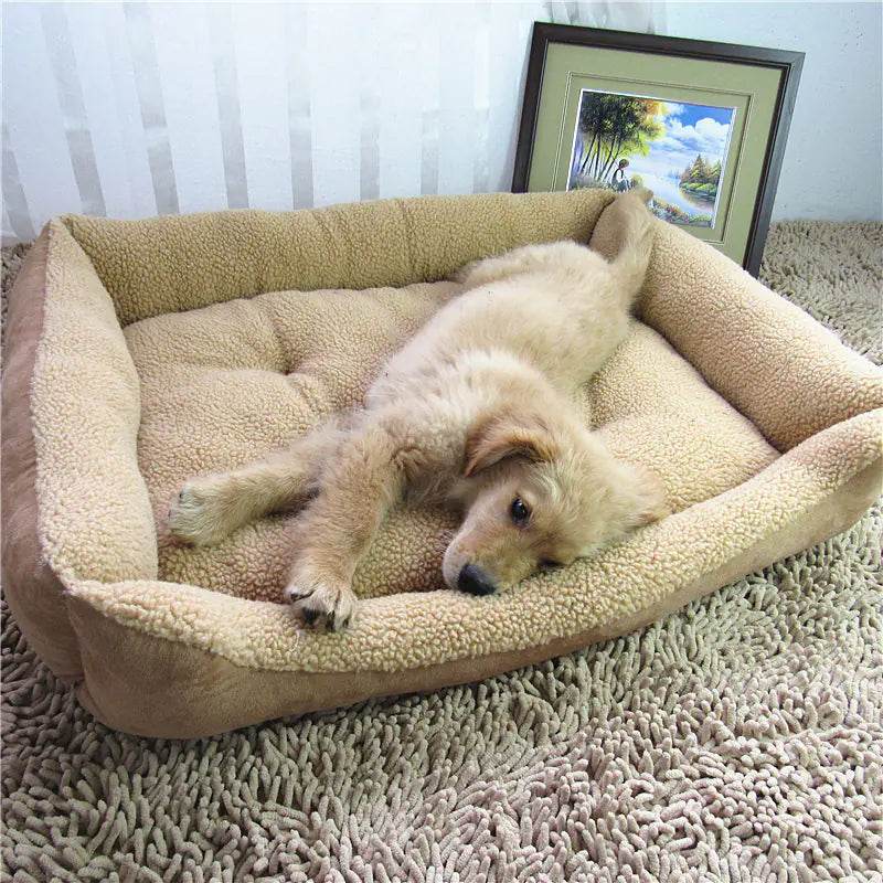 Teddy Golden Retriever Dog Bed and Pet House - Nai Pet Store