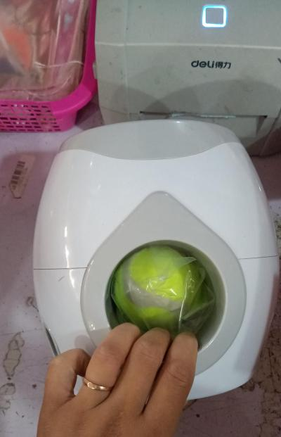 Hand placing green tennis ball into white pet toy dispenser for dog playtime
