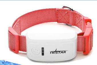 Cat GPS Tracker & Locator