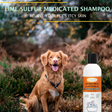 Healthy Paw Life Lime Sulfur antibacterial and antifungal medicated pet shampoo with a dog.