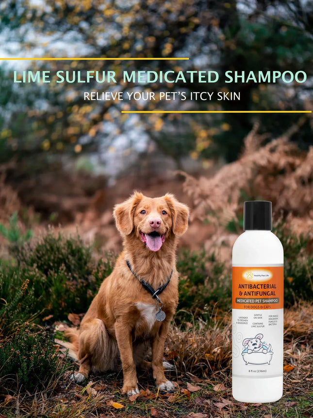 Healthy Paw Life Lime Sulfur antibacterial and antifungal medicated pet shampoo with a dog.