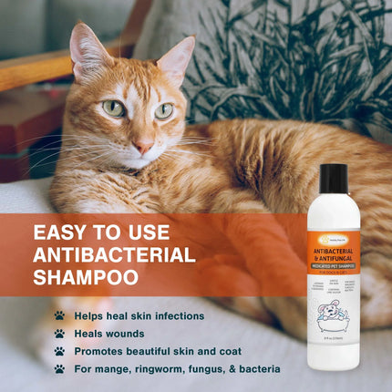 Healthy Paw Life Lime Sulfur antibacterial and antifungal medicated pet shampoo with an orange cat.
