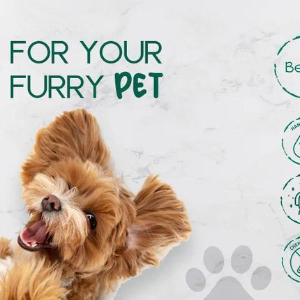 dkky4zYL2xvnJPN - Nai Pet Store