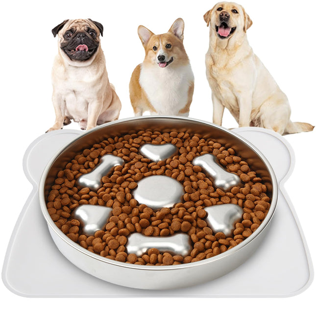 Stainless steel dog food bowl filled with dry kibble and bone-shaped treats with three dogs.