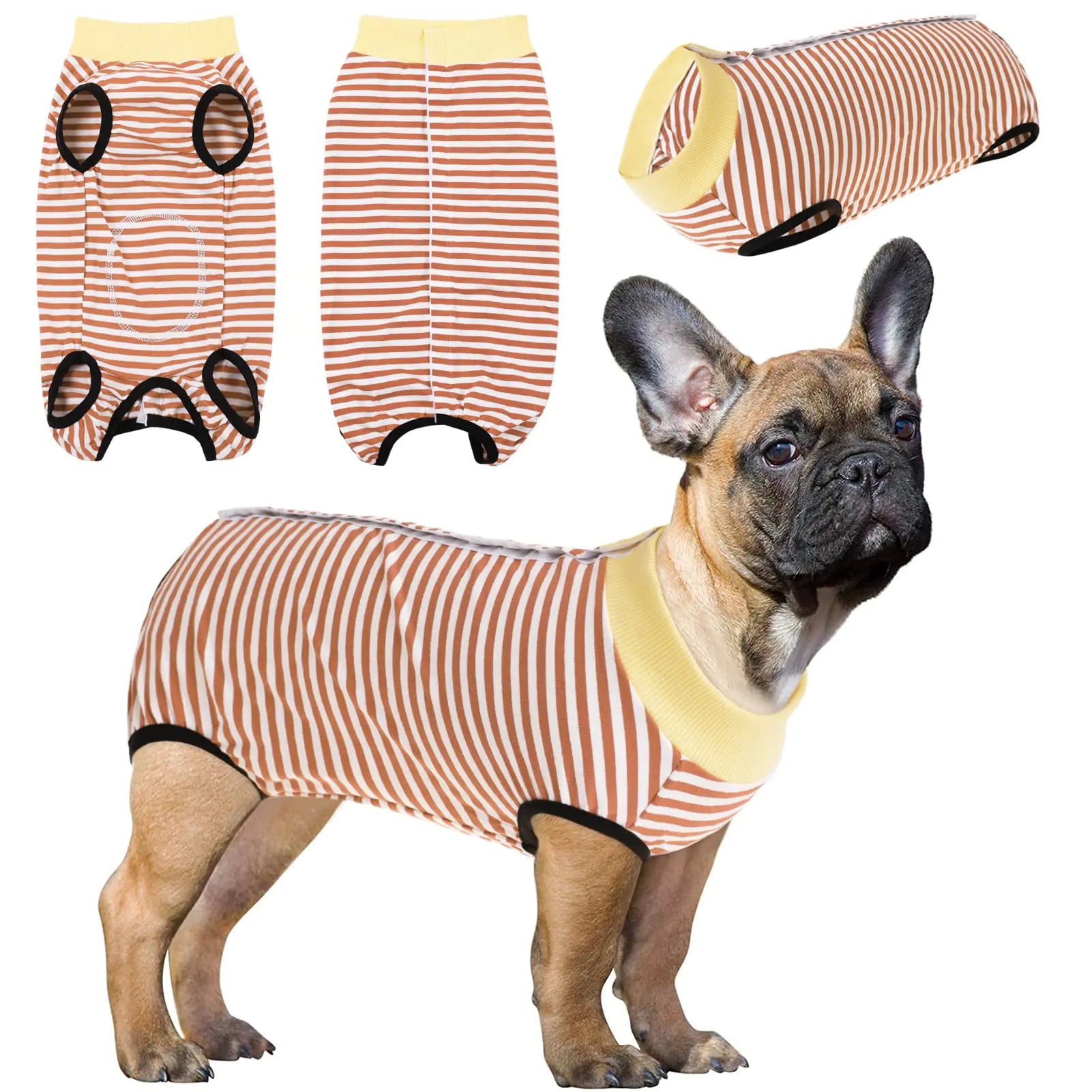 Dog Recovery Suit After Surgery