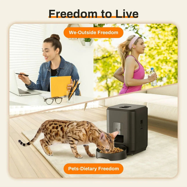 Automatic cat feeder with Bengal cat eating dry food, promoting pet dietary freedom and owner lifestyle flexibility