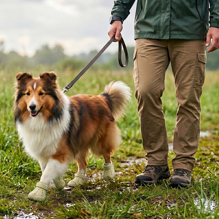 Waterproof Breathable Dog Shoes & Boots