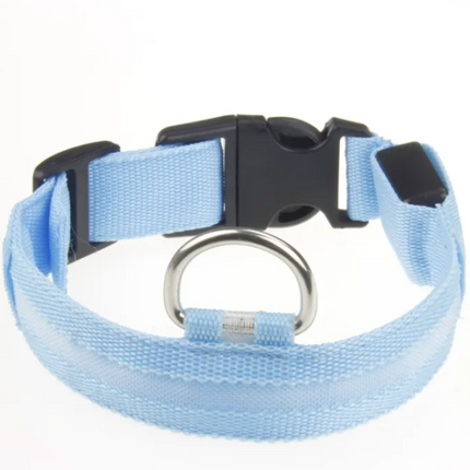 LED Dog Collar