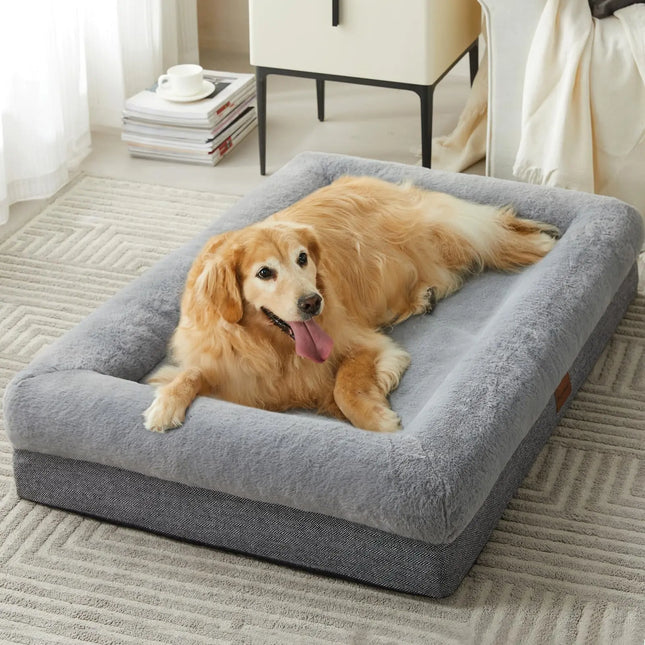Golden Retriever lying on a gray BFPETHOME foam bolster dog bed in a bright room.