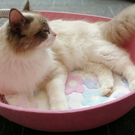 Universal Pet Bed for Cats - Felt and Bowl Design