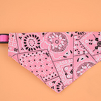 Pink / M 1.5cm