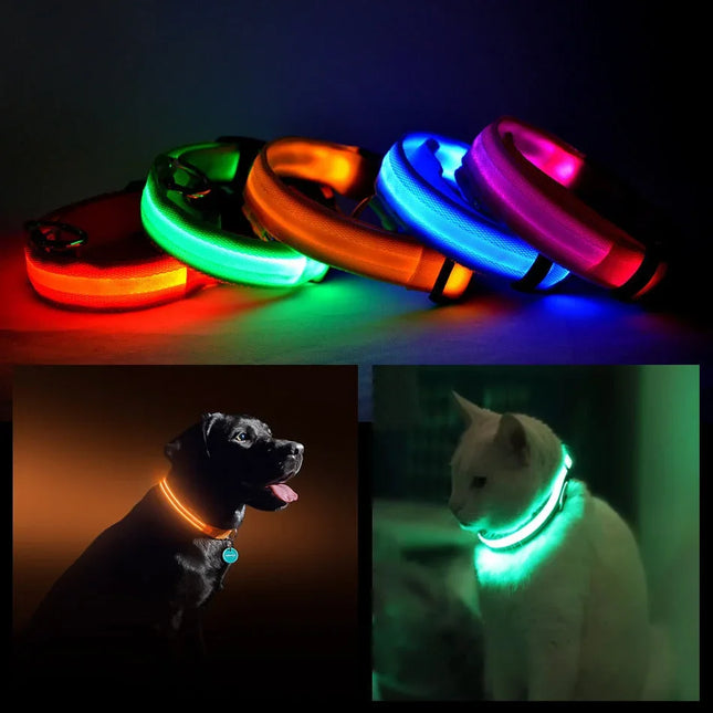 LED pet collars in rainbow colors, glowing on dogs and cats for night safety and visibility