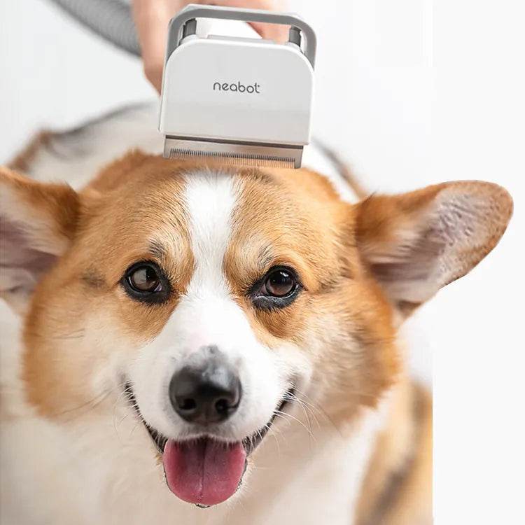 Pet Grooming Tool - Nai Pet Store