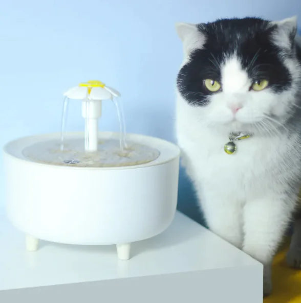 Pet Water Dispenser