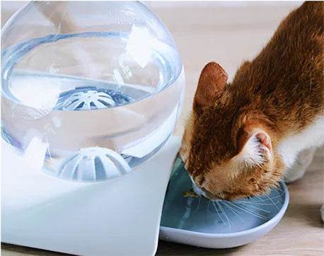 Automatic Pet Water Dispenser for Pets - Nai Pet Store