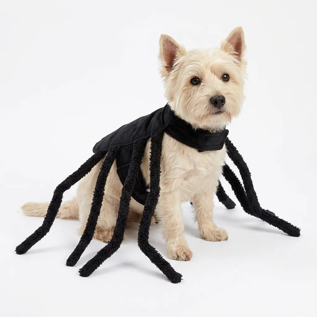 AI-generated illustration of a cream-colored dog wearing a black spider pet costume on a white background