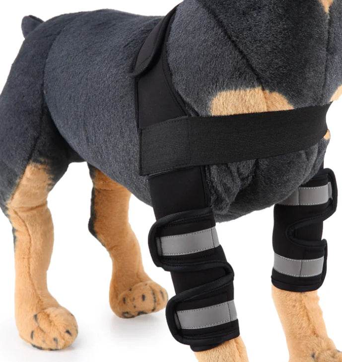 Dog Knee Brace and Leg Protector for Injury Recovery - Nai Pet Store
