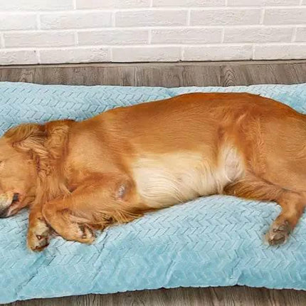 jjQn9vpE3XIXipuN - Nai Pet Store