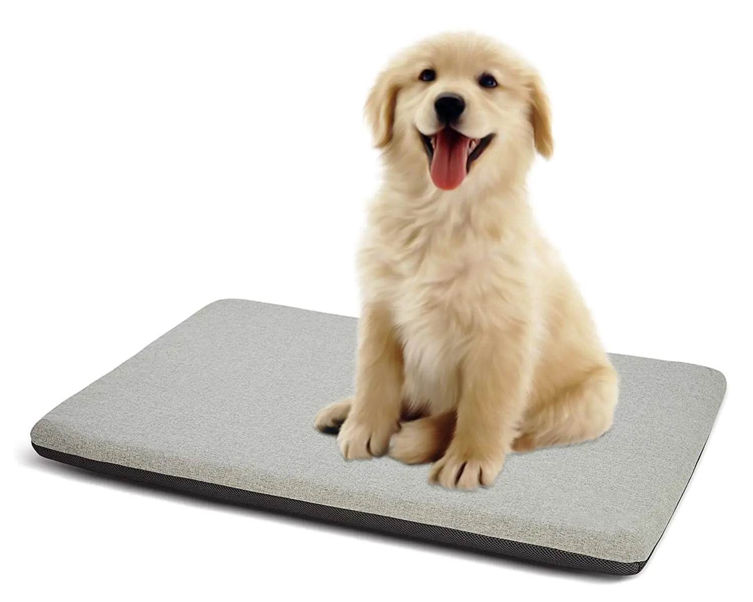 Panku Small 24inch Dog Bed(Grey 24x16x2) - Nai Pet Store