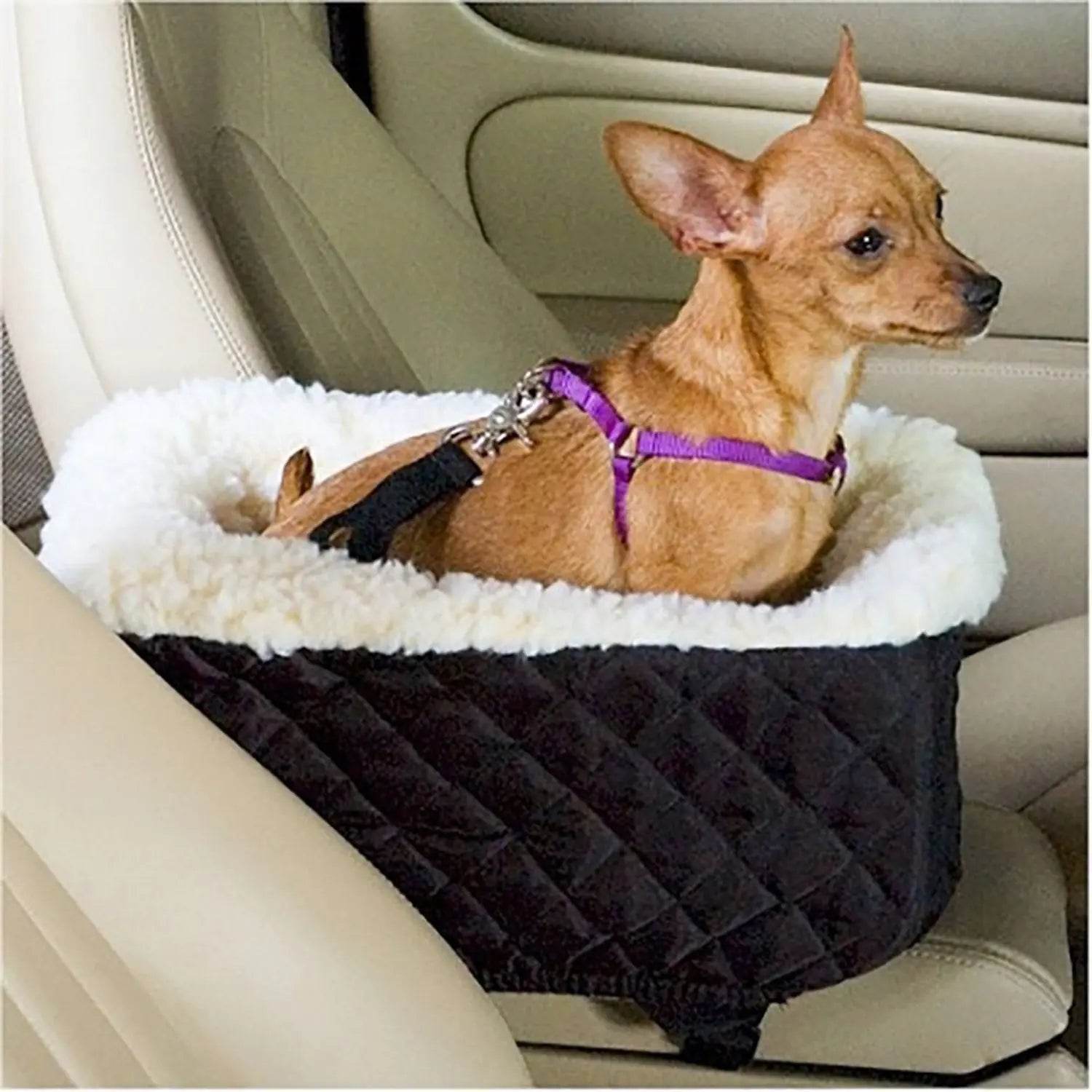 Car Pet Basket with Dog Cushion and Pet Bed - Nai Pet Store