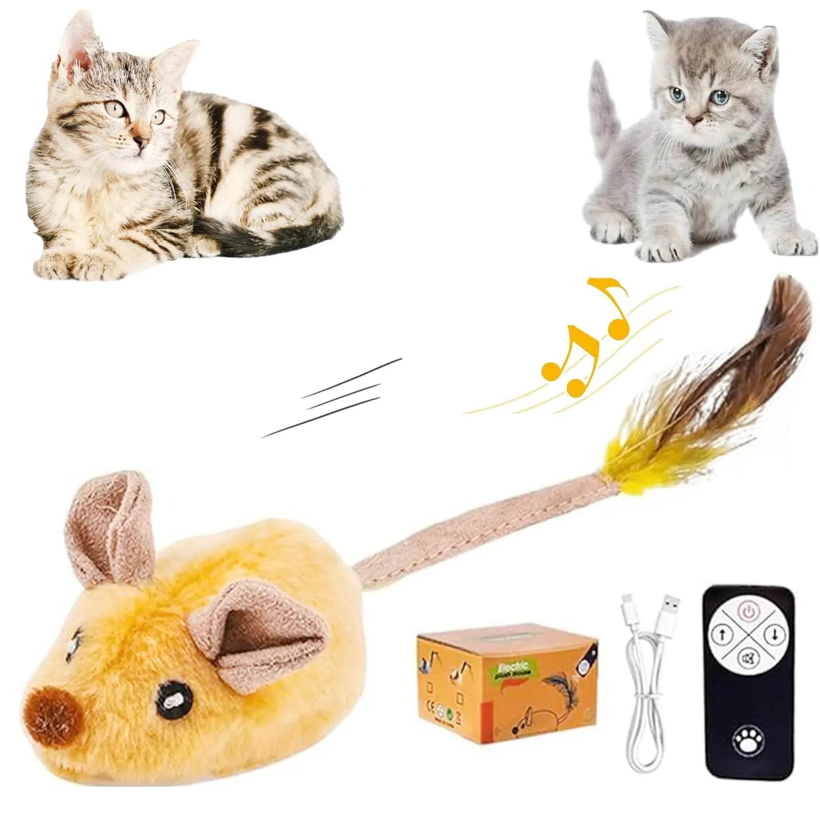 Interactive Cat Toys - Nai Pet Store