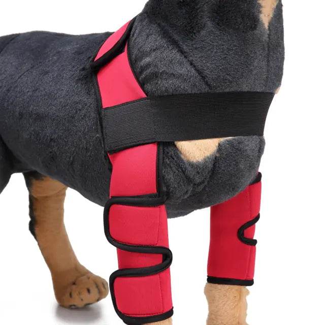 Dog Knee Brace and Leg Protector for Injury Recovery - Nai Pet Store