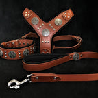 Size M - fitting a neck of 16.7 to 19.7 inch (42.5 - 50 cm)