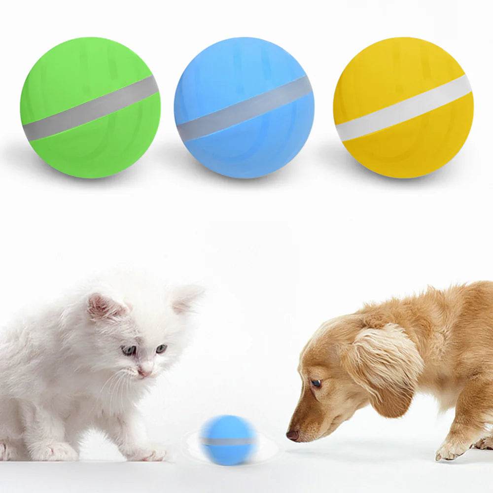 USB Charging Smart Pet Toy Ball - Nai Pet Store