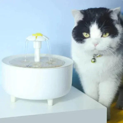 oaMuynzCzfRO9UwL - Nai Pet Store