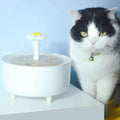 oaMuynzCzfRO9UwL - Nai Pet Store