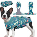 oc02QoKs9mWcKWj7 - Nai Pet Store