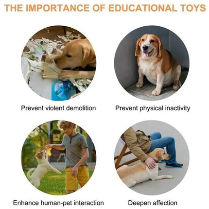 pdrkwiuiP75p6JJW - Nai Pet Store