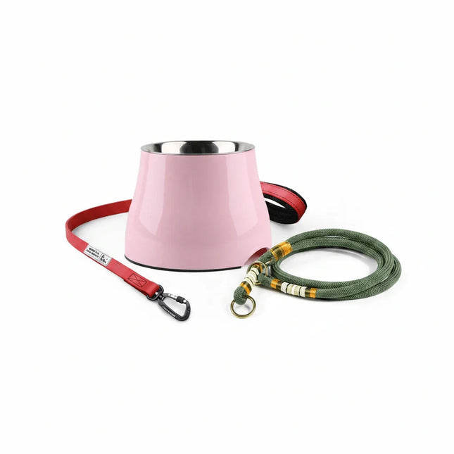 starter-pet-kit-bundle-pink-bowl-green-collar-red-leash - Nai Pet Store