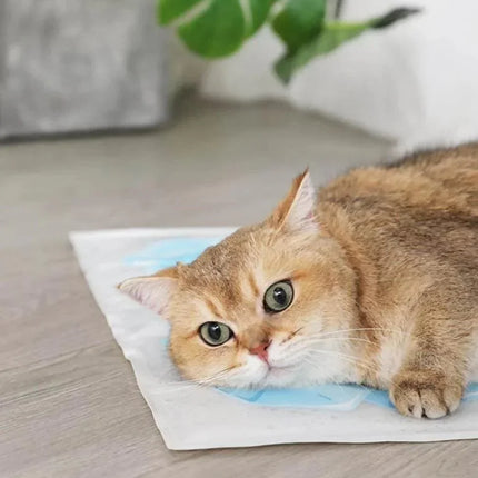 summer-cooling-pet-ice-mat-735724 - Nai Pet Store